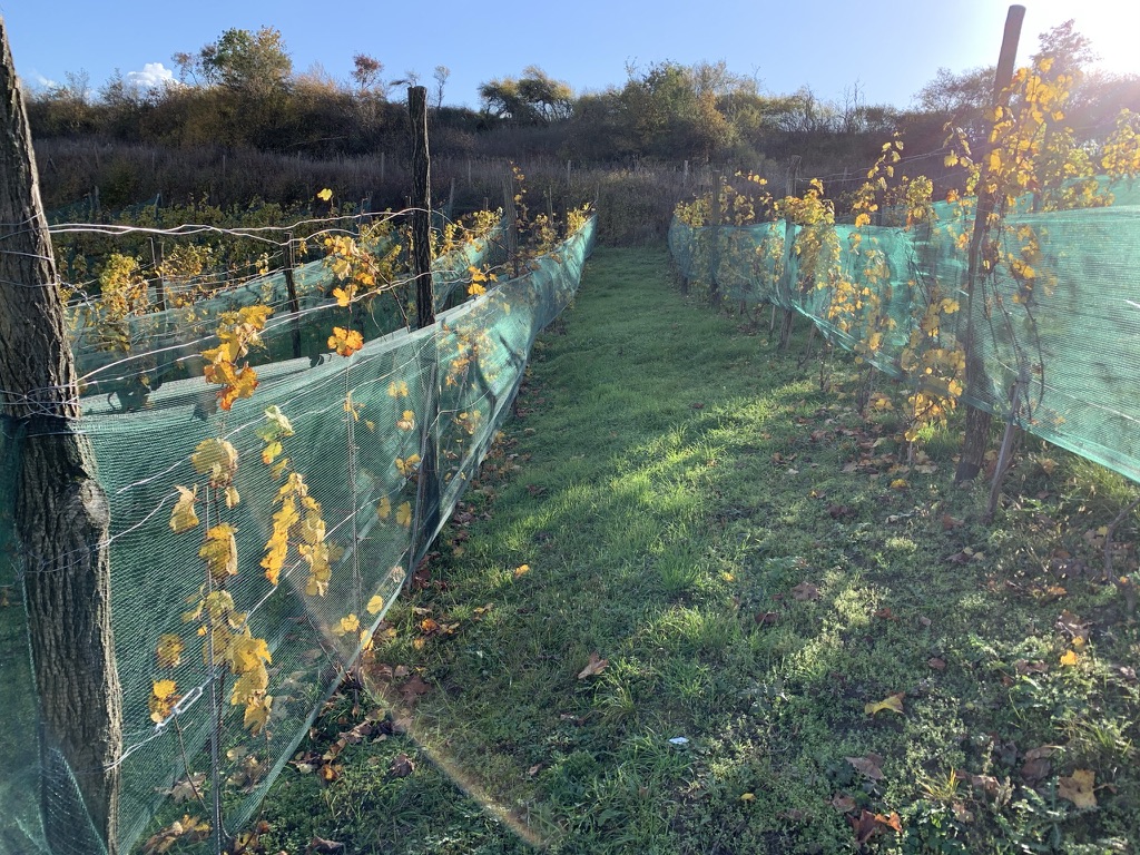 placeholder image sq