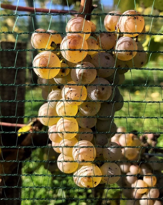 placeholder image sq