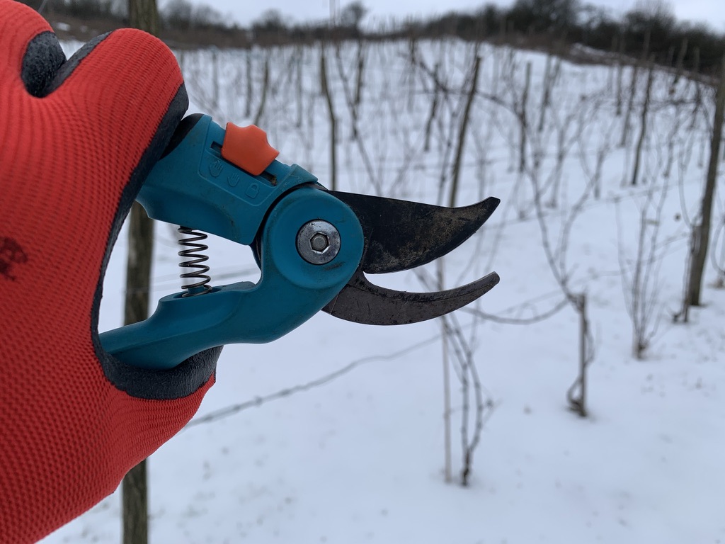 placeholder image sq