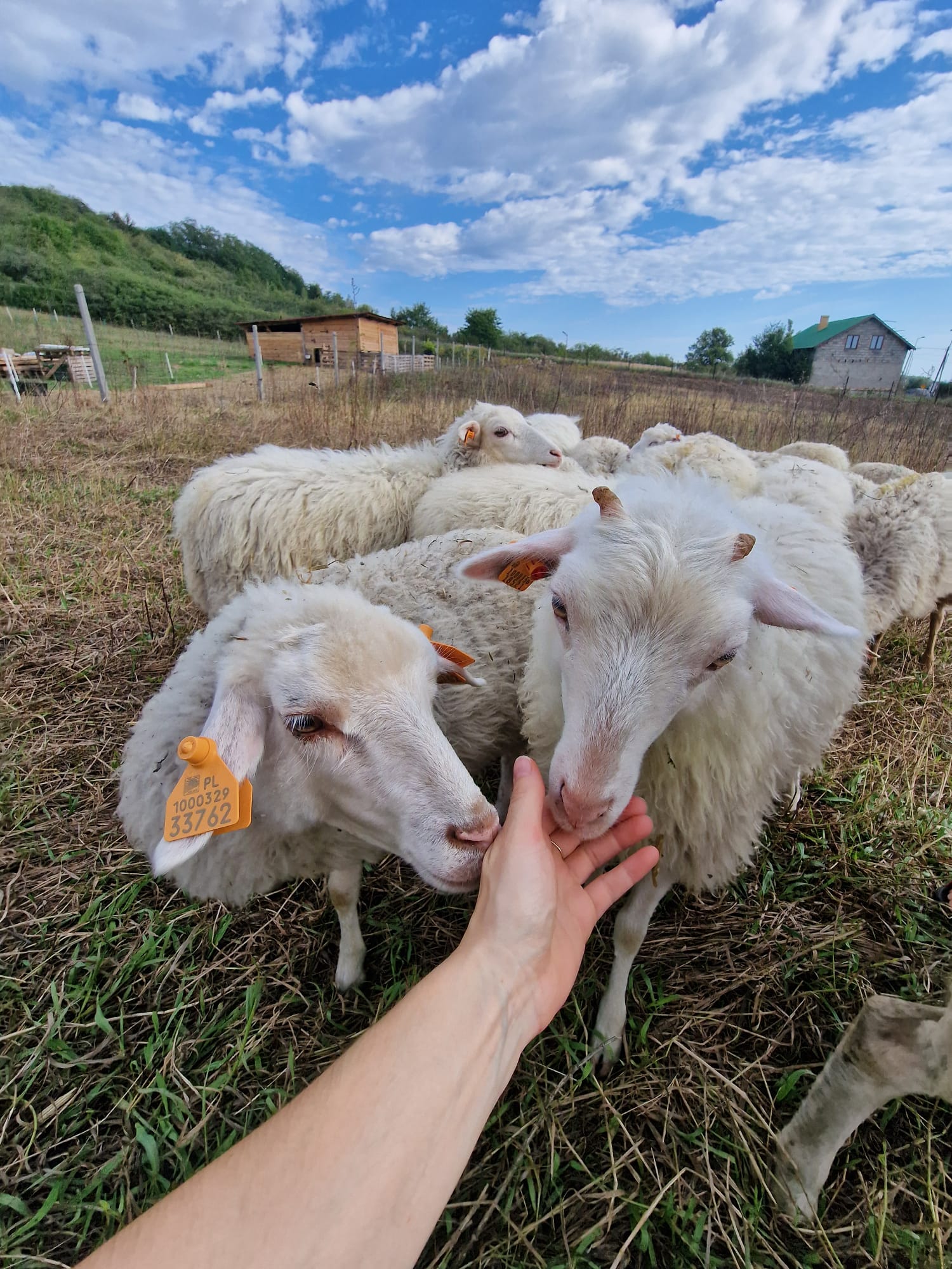 placeholder image sq