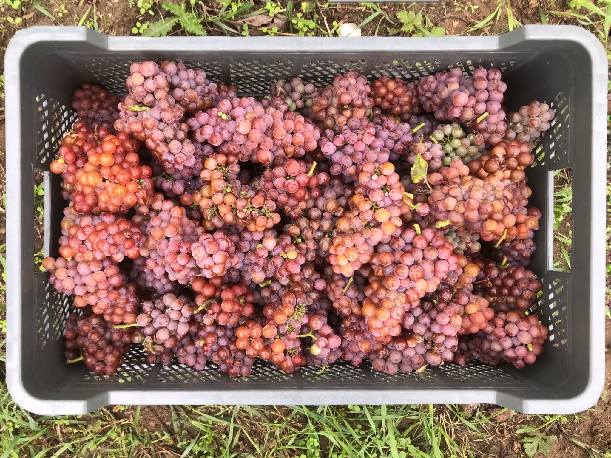 placeholder image sq